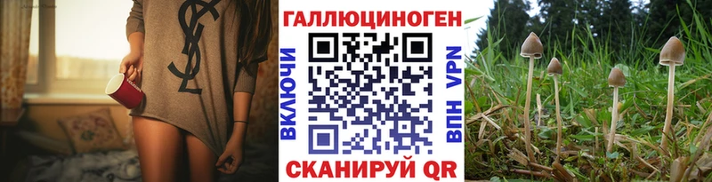 Галлюциногенные грибы Psilocybine cubensis Минусинск